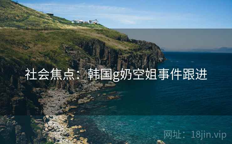 社会焦点：韩国g奶空姐事件跟进