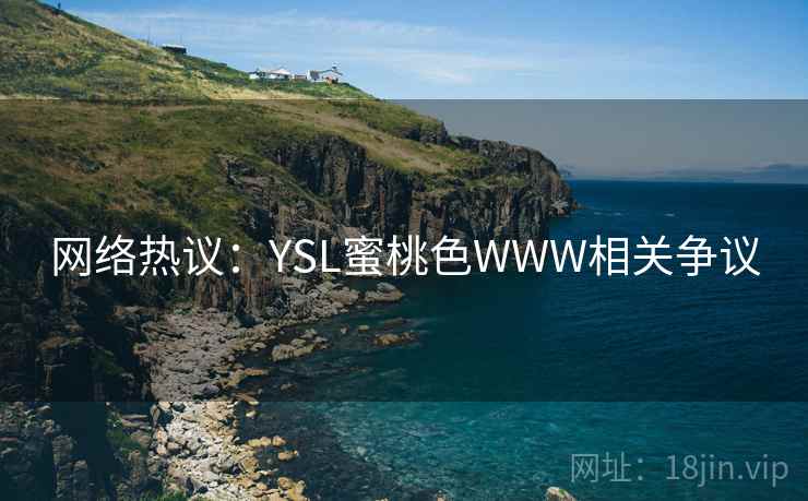 网络热议：YSL蜜桃色WWW相关争议