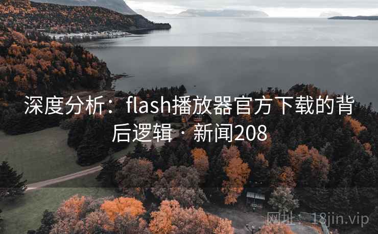 深度分析：flash播放器官方下载的背后逻辑 · 新闻208